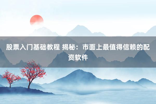 股票入門基礎(chǔ)教程 揭秘：市面上最值得信賴的配資軟件
