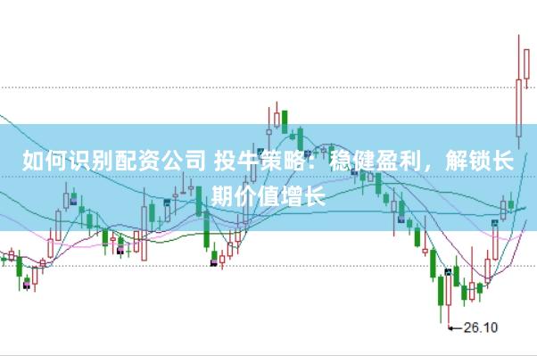 如何識別配資公司 投牛策略：穩(wěn)健盈利，解鎖長期價值增長