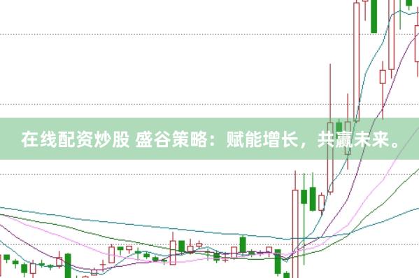 在線配資炒股 盛谷策略：賦能增長，共贏未來。