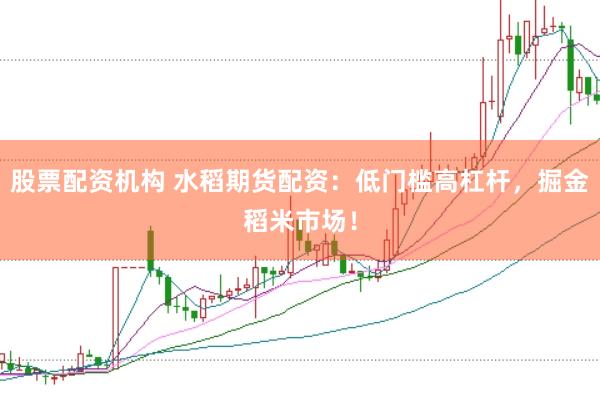 股票配資機(jī)構(gòu) 水稻期貨配資：低門(mén)檻高杠桿，掘金稻米市場(chǎng)！